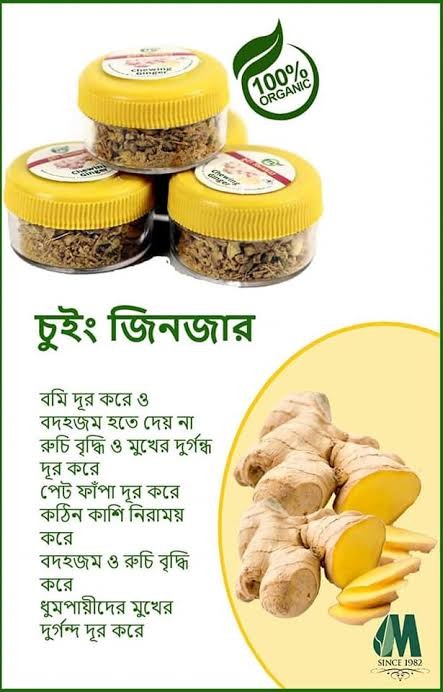 Chewing Ginger