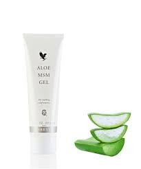 Aloe MSM Gel